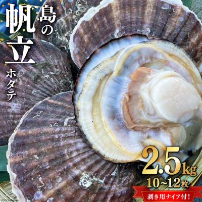 ふるさと納税 気仙沼市 [期間限定発送]島の帆立 2.5kg (10~12枚) ホタテ剥き用ナイフ付 20564054