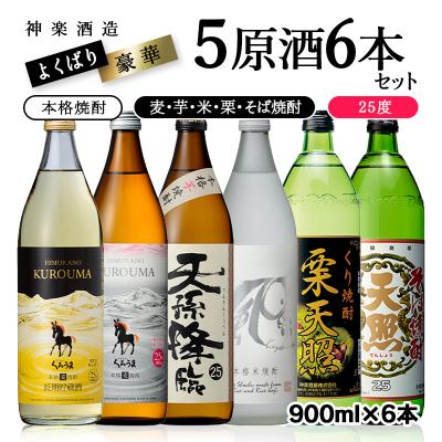ふるさと納税 西都市 神楽酒造よくばり焼酎セット[芋・麦・米・栗・そば]5原料6本セット[3242]