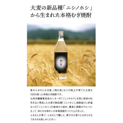 ふるさと納税 宇佐市 いいちこ/西の星 パック 20度1800ml 各2本