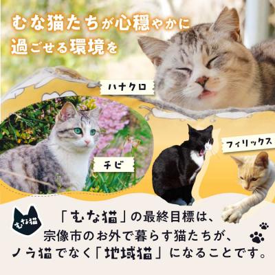 ふるさと納税 宗像市 【返礼品なし】「むな猫(旧:てくてくさくらねこ)」　地域猫活動支援【むな猫】_AS1118-00 |  | 01