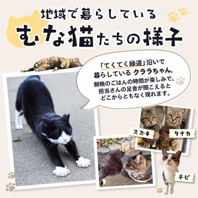 ふるさと納税 宗像市 【返礼品なし】「むな猫(旧:てくてくさくらねこ)」　地域猫活動支援【むな猫】_AS1118-00 |  | 02