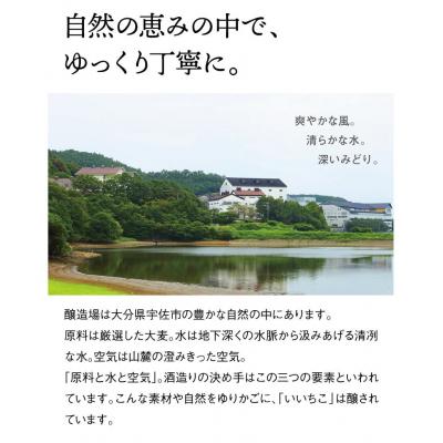ふるさと納税 宇佐市 いいちこ パック 25度 1800ml 6本 【104304400】【山添産業】 |  | 02