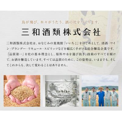 ふるさと納税 宇佐市 いいちこ パック 25度 1800ml 6本 【104304400】【山添産業】 |  | 03