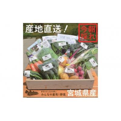 ふるさと納税 岩沼市 岩沼みんなの家の「みんなの直売!野菜」セット 8〜10個 詰め合わせ