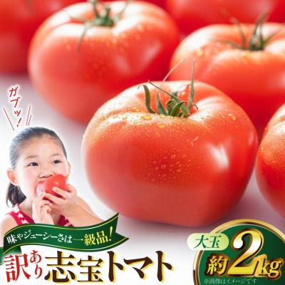 ふるさと納税 宝達志水町 志宝トマト 大玉 約2kg [モアショップヤマモト 石川県 宝達志水町 38601138]