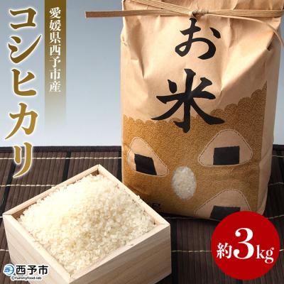 ふるさと納税 西予市 愛媛県西予市産 お米コシヒカリ3kg 愛媛 宇都宮物産 コメ 白米 精米