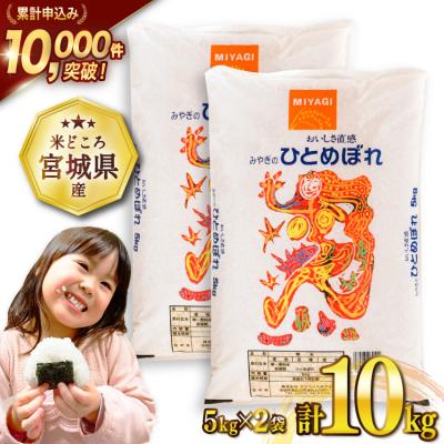 ふるさと納税 気仙沼市 米 宮城県産 ひとめぼれ 10kg (5kg×2袋) [20565763] | 