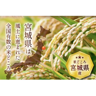ふるさと納税 気仙沼市 米 宮城県産 ひとめぼれ 10kg (5kg×2袋) [20565763] |  | 02
