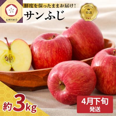 ふるさと納税 五所川原市 [2026年4月下旬発送]特選 りんご サンふじ 約3kg 贈答用 スマフレTM貯蔵またはCA貯蔵