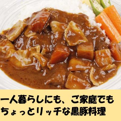 ふるさと納税 薩摩川内市 定期便(毎月3ヶ月)鹿児島県産黒豚 簡単調理おかずセット(レンジ対応) DS-907_2