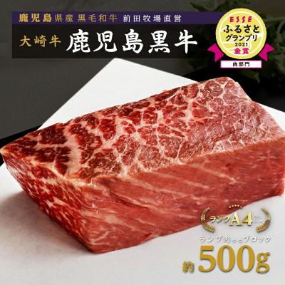 ふるさと納税 大崎町 [前田牧場直営]鹿児島黒牛〜ランプ肉(モモ)ブロック(約500g)