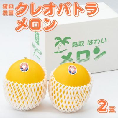 ふるさと納税 湯梨浜町 樋口農園のクレオパトラメロン 2玉(220M.)