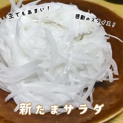 ふるさと納税 南あわじ市 子どもたちが丸ごと食べれる♪春の新たまねぎ5kg ◆配送3月〜の画像