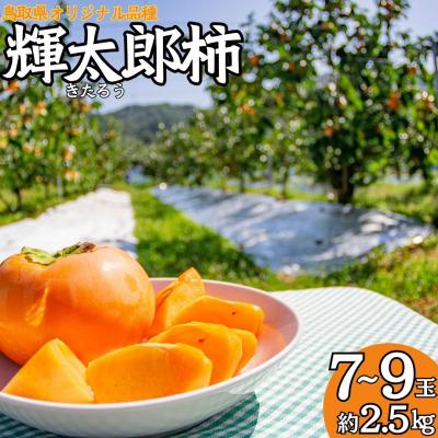 ふるさと納税 湯梨浜町 輝太郎柿7〜9玉(24K.)