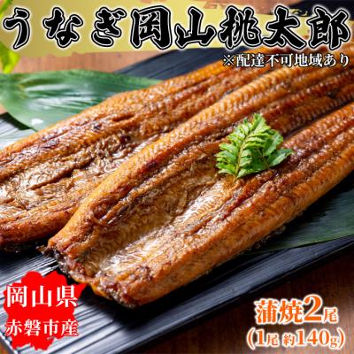 ふるさと納税 赤磐市 うなぎ 岡山 桃太郎 蒲焼 2尾(1尾 約140g) [NO5765-0882]
