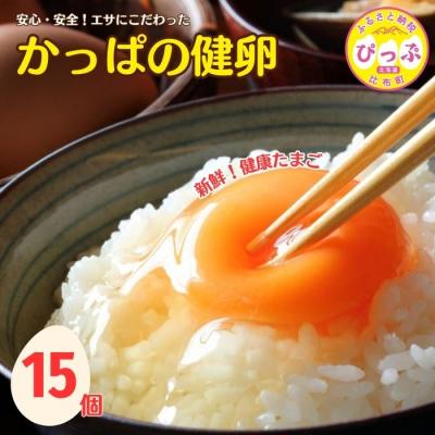 ふるさと納税 比布町 かっぱの健卵 15個[大熊養鶏場]