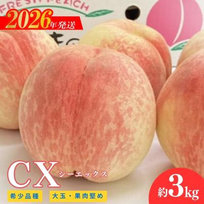 ふるさと納税 福島市 希少品種CX/シ-エックス 約3kg[2026年発送 先行受付]No.2580