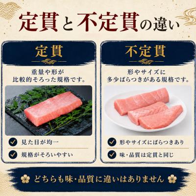 ふるさと納税 大月町 訳あり 不定貫 国産 まぐろ 本マグロ 刺身 中トロ 300g 養殖  さしみ 刺し身 |  | 02