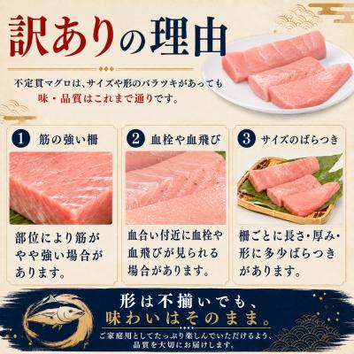 ふるさと納税 大月町 訳あり 不定貫 国産 まぐろ 本マグロ 刺身 中トロ 300g 養殖  さしみ 刺し身 |  | 03