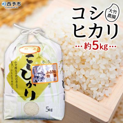ふるさと納税 西予市 <令和7年産:大竹農園 「コシヒカリ」5kg> 米 コメ ご飯 西予市 宇和