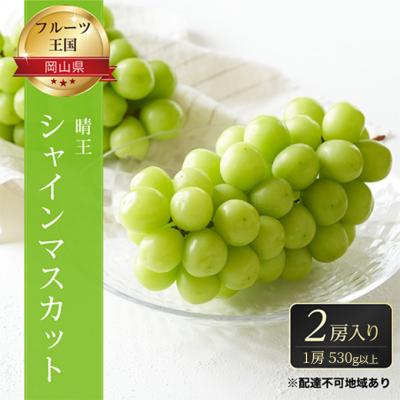 ふるさと納税 瀬戸内市 ご家庭用 シャインマスカット晴王 優品 2房(露地栽培)岡山県産