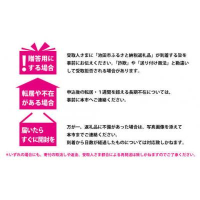 ふるさと納税 池田市 日清食品「インスタントラーメン発祥の地・大阪池田」わくわくおたのしみセット |  | 02