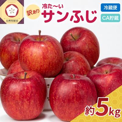ふるさと納税 五所川原市 [糖度13度以上] 訳ありりんごサンふじ5kg程度 青森 冷た〜いサンふじクール便[順次発送]