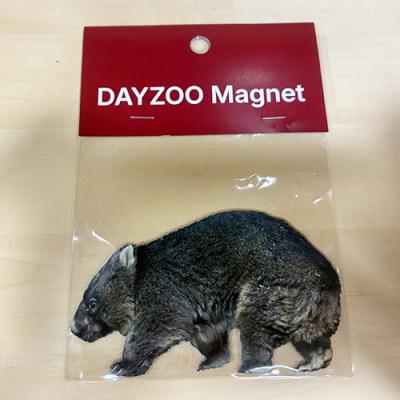 ふるさと納税 池田市 五月山動物園 ウォンバットグッズAセット