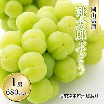 ふるさと納税 瀬戸内市 桃太郎 ぶどう 1房 680g以上(露地栽培)贈答用 岡山県産 
