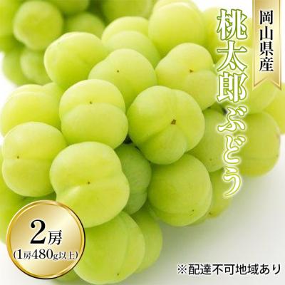ふるさと納税 瀬戸内市 桃太郎 ぶどう 2房(1房 480g以上 露地栽培)贈答用 岡山県産 