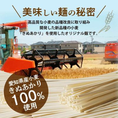 ふるさと納税 碧南市 【乾麺】碧海の恵み きしめん 愛知県産 徳用セット3.75kg(250g×15袋)　H008-276 |  | 02