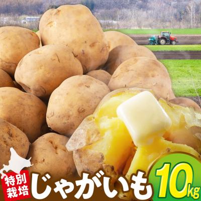 ふるさと納税 津別町 【先行受付】R8年産 特別栽培じゃがいも(男爵) 10kg | 北海道津別町 | 