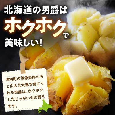 ふるさと納税 津別町 【先行受付】R8年産 特別栽培じゃがいも(男爵) 10kg | 北海道津別町 |  | 01