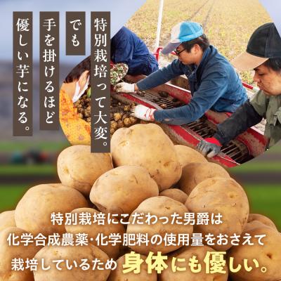 ふるさと納税 津別町 【先行受付】R8年産 特別栽培じゃがいも(男爵) 10kg | 北海道津別町 |  | 02