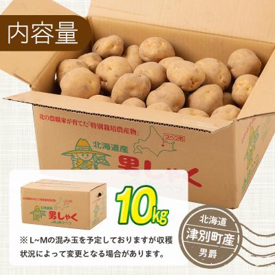 ふるさと納税 津別町 【先行受付】R8年産 特別栽培じゃがいも(男爵) 10kg | 北海道津別町 |  | 03