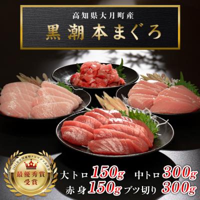 ふるさと納税 大月町 [高知県産 養殖本マグロ]4種 900g(大トロ・赤身150g 中トロ・ブツ切り300g)