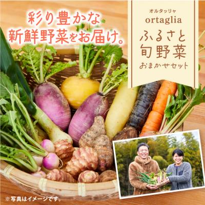 ふるさと納税 笠岡市 季節の旬野菜 10品 おまかせセット(農薬・化学肥料不使用(栽培期間中))