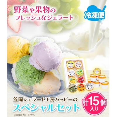 ふるさと納税 笠岡市 笠岡ジェラート工房「HAPPY」のカップアイス(野菜・果物、ひまわりの種)15個セット H-20a