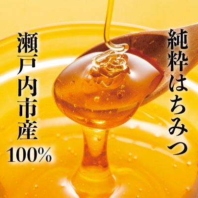 ふるさと納税 瀬戸内市 岡山県 瀬戸内市産レンゲ はちみつ 3本セット(1