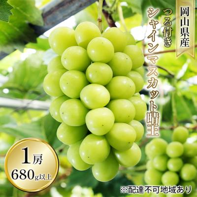 ふるさと納税 瀬戸内市 シャイン マスカット 晴王 1房 680g以上(露地栽培) 岡山県産 