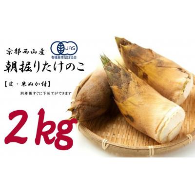 ふるさと納税 京都市 &lt;先行受付&gt;[皮付き京都西山産] 朝掘りたけのこ 2kg(米ぬか付)[アドプランツコーポレーション]