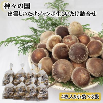 ふるさと納税 出雲市 神々の国 出雲しいたけジャンボ生しいたけ詰合せ[1-293]