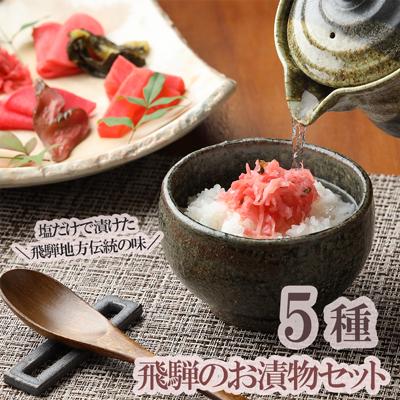 ふるさと納税 下呂市 飛騨のお漬物 5種類セット 漬け物 飛騨 詰め合わせ[15-2]