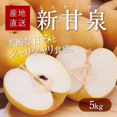 ふるさと納税 鳥取市 新甘泉 5kg【たにがみ農園】 | 