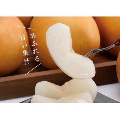 ふるさと納税 鳥取市 新甘泉 5kg【たにがみ農園】 |  | 01