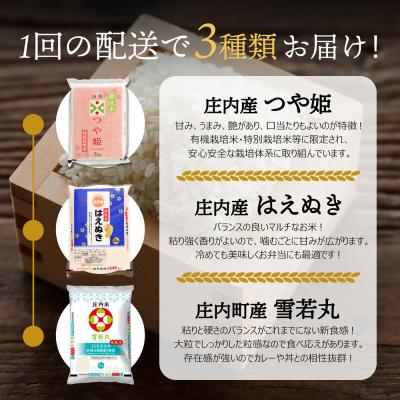 ふるさと納税 庄内町 【令和8年産】山形のブランド米 無洗米 食べ比べセット 6kg つや姫 はえぬき 雪若丸 |  | 01