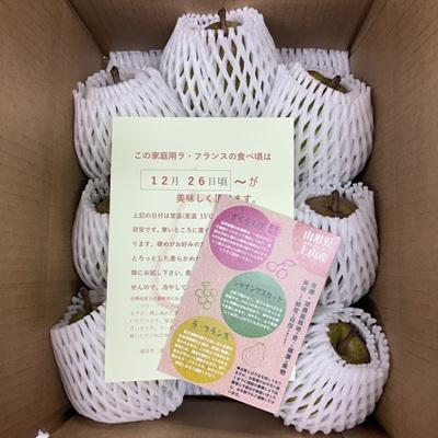 ふるさと納税 上山市 訳あり(ご家庭用) 西洋梨 ラフランス 3kg 0041-2608 |  | 01
