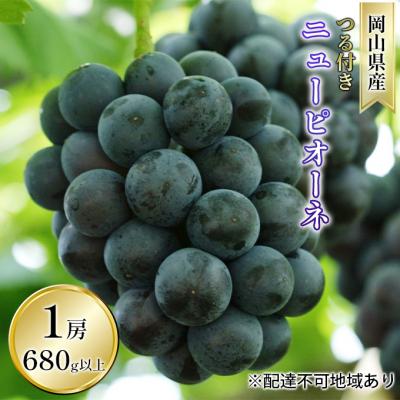 ふるさと納税 瀬戸内市 ニュー ピオーネ 1房 680g以上(露地栽培) 岡山県産 
