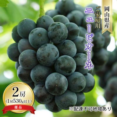 ふるさと納税 瀬戸内市 ご家庭用 ニューピオーネ 優品2房(1房530g以上 露地栽培)岡山県産
