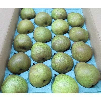 ふるさと納税 上山市 西洋梨(ラフランス)5kg　特秀・秀品混合　0110-2606 |  | 01